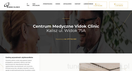 vidok-clinic