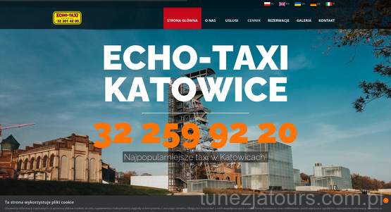 echo-taxi